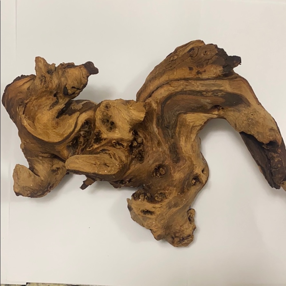 🦎🐢 Zoo Med Mopani Wood for terrariums! 🐍🐸